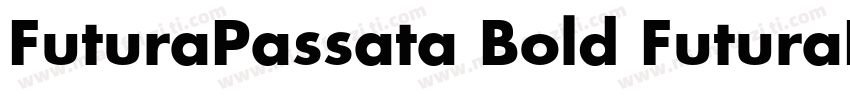 FuturaPassata Bold FuturaPassata B字体转换
